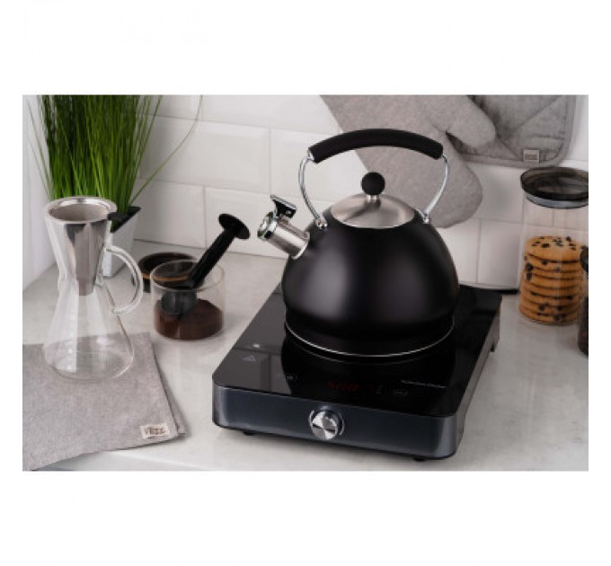 Ardesto Настільна плита Ardesto ICS-B116