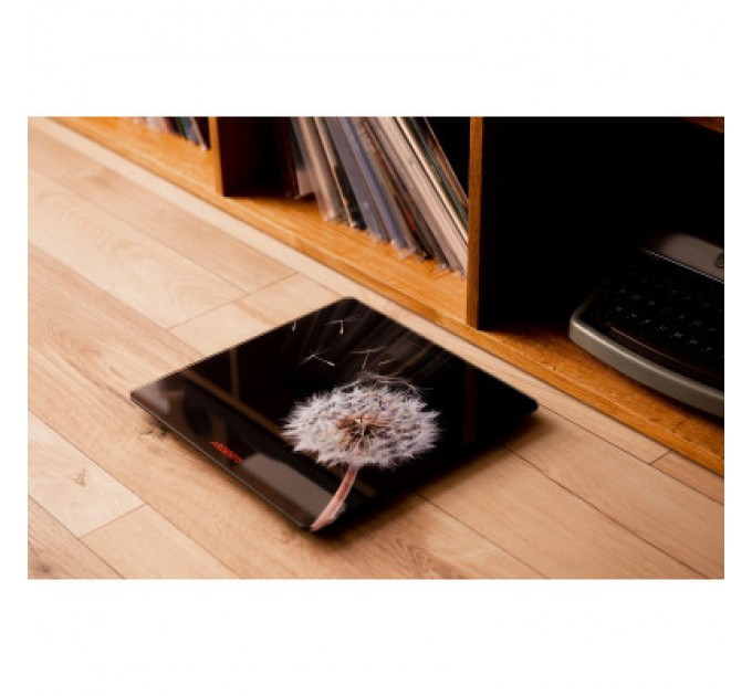 Ardesto Ваги підлогові Ardesto SCB-965BL