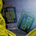 Ellusionist Гральні карти Ellusionist Killer Bees (59948)