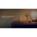Yeelight Нічник Yeelight Redbud-Candle Light(second gen) (YLFWD-0019)