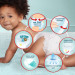 Pampers Підгузки Pampers Premium Care Pants Трусики Розмір 7 (17+ кг) 27 шт. (8006540807026)