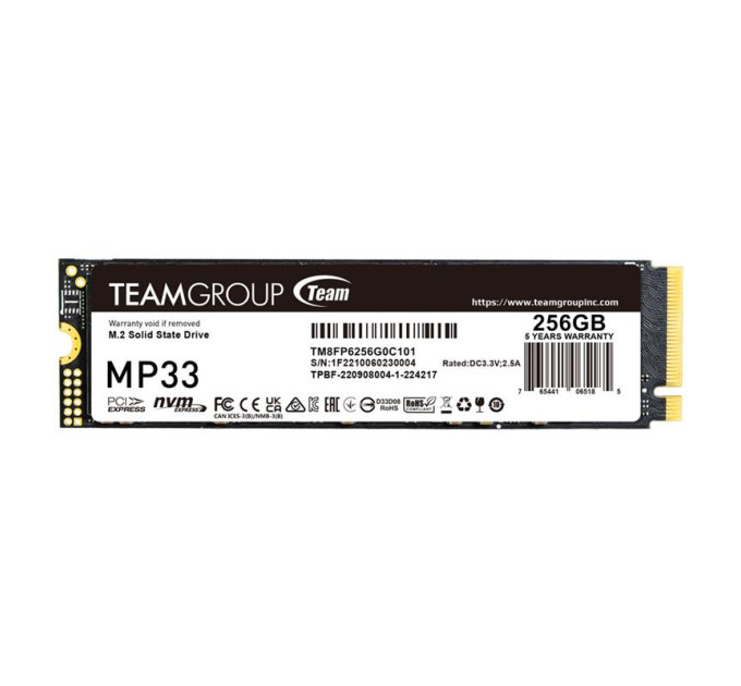 Team Накопичувач SSD M.2 2280 256GB Team (TM8FP6256G0C101)