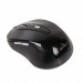 Gembird Мишка Gembird MUSW-6B-01-B Black (MUSW-6B-01)