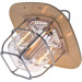 Westinghouse Ліхтар Westinghouse Retro 4W LED Filament WF242 Type-C з функцією Power Bank (WF242-CB)