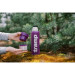 Tramp Термос Tramp Expedition Line 0.9 л Purple (UTRC-027-purple)