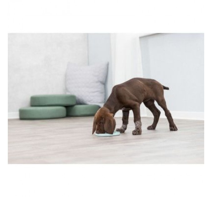 Trixie Посуд для собак Trixie Миска «Junior» для повільного годування 15 см (м'ятний) (4011905349541)