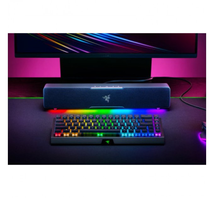 Razer Акустична система Razer Leviathan V2 X (RZ05-04280100-R3M1)