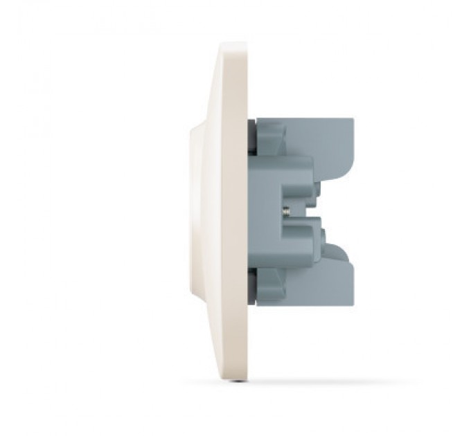 Videx Розетка Videx BINERA 2ая кремова (VF-BNSK2-CR)