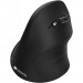 Canyon Мишка Canyon CNS-CMSW16B Wireless Black (CNS-CMSW16B)