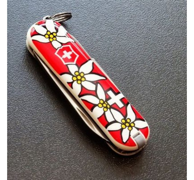 Victorinox Ніж Victorinox Classic SD Edelweiss (0.6223.840)