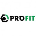Profit Повітряний фільтр для автомобіля Profit 1512-4289
