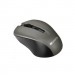 Canyon Мишка Canyon MW-1 Wireless Gray (CNE-CMSW1G)