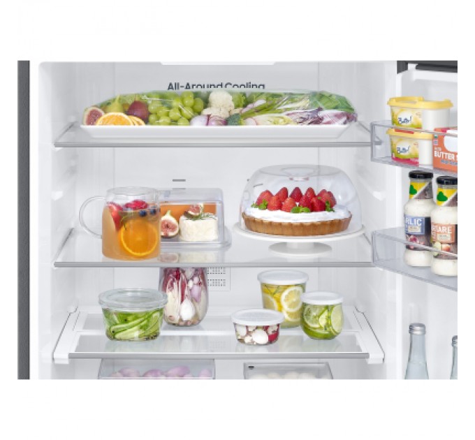 Samsung Холодильник Samsung RB50DG601EB1UA