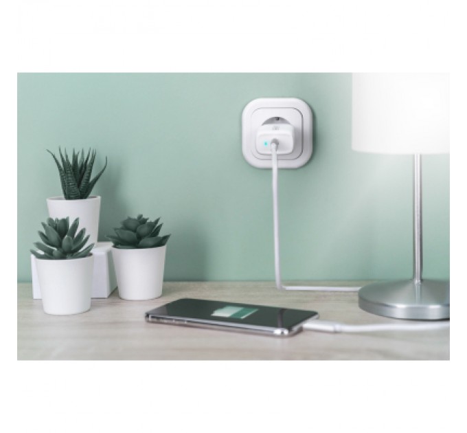 Digitus Зарядний пристрій Digitus Universal USB-C (DA-10196)