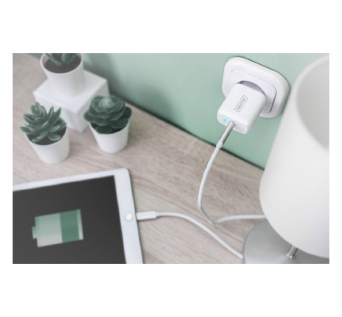 Digitus Зарядний пристрій Digitus Universal USB-C (DA-10196)
