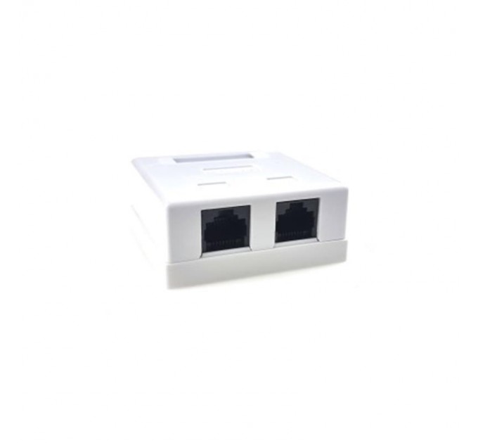 Cablexpert Розетка EServer (WT-2015A) 2хRJ-45, Cat5Е, зовнішня, білий