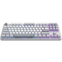 Клавіатура Dark Project ALU87 Daylight ABS RGB Mech G3MS Zircon White/Grey (DPKB_DAYLIGHT_87_ANSI_UA)