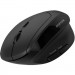 Canyon Мишка Canyon MW-25 LED Silent Wireless/Bluetooth Black (CNS-CMSW25)