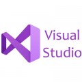 Microsoft Офісний додаток Microsoft Visual Studio Professional 2022 Commercial, Perpetual (DG7GMGF0D3SJ_0003)