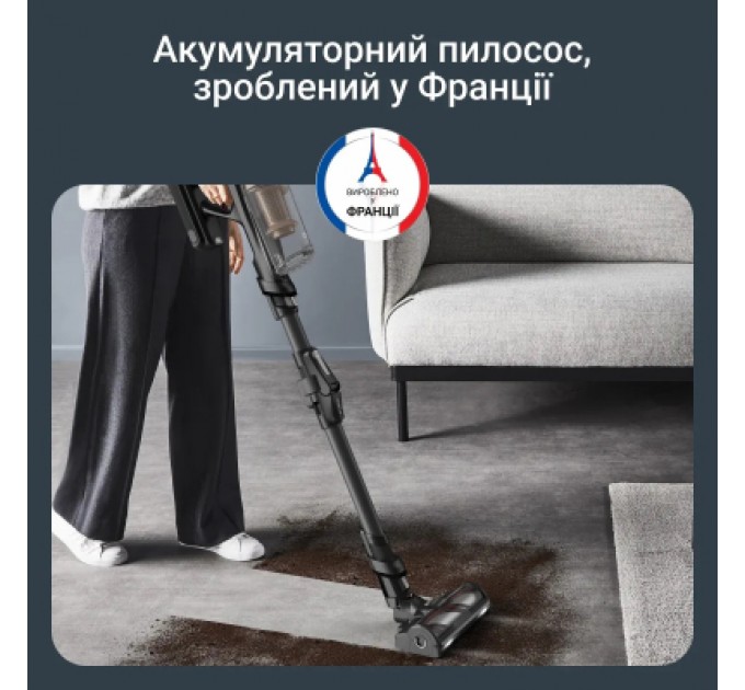 Rowenta Пилосос Rowenta RH9B74WO