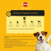 Pedigree Сухий корм для собак Pedigree для малих порід з яловичиною та овочами 12 кг (5998749120910)