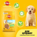 Pedigree Сухий корм для собак Pedigree для цуценят з птицею та овочами 500 г (5998749144923)