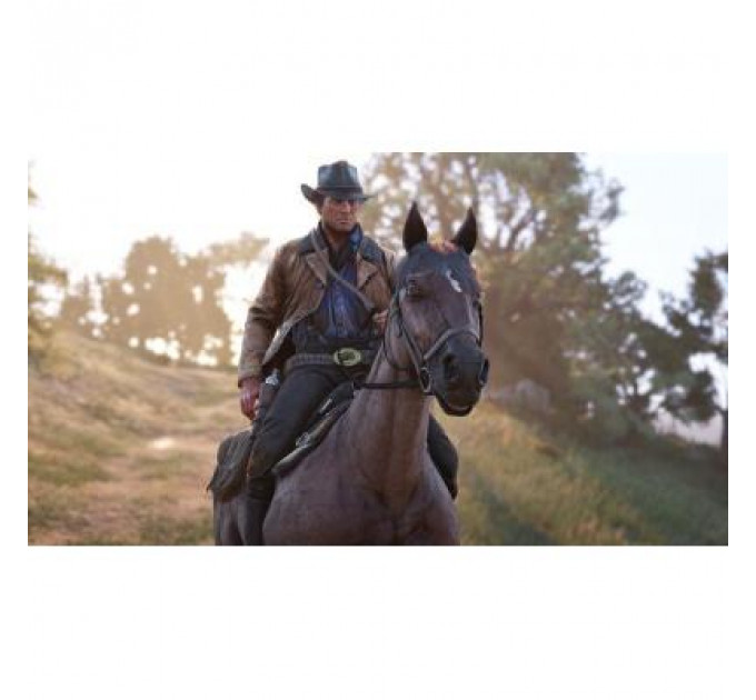 Гра Xbox Red Dead Redemption 2 [Russian subtitles] (5026555358989)