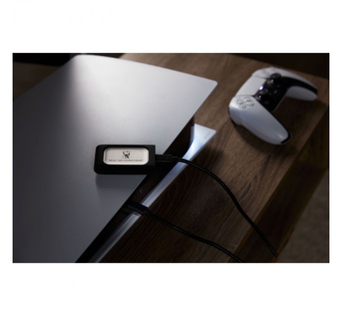 Kingston Накопичувач SSD USB Type-C 1TB XS2000 Kingston (SXS2000/1000GA)