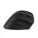 2E Мишка 2E MF325 Silent Wireless/Bluetooth Black (2E-MF325WBK)