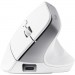 Trust Мишка Trust Bayo+ Ergonomic Wireless/Bluetooth White (25399)
