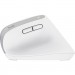 Trust Мишка Trust Bayo+ Ergonomic Wireless/Bluetooth White (25399)