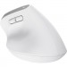 Trust Мишка Trust Bayo+ Ergonomic Wireless/Bluetooth White (25399)