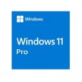 Операційна система Microsoft Windows 11 Pro 64Bit Eng Intl 1pk DSP OEI DVD (FQC-10528)