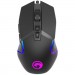 Marvo Мишка Marvo G941 RGB-LED USB Black (G941)