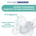 Chicco Пустушка Chicco Physio Comfort силіконова від 2 до 6 місяців 2шт. (рожева) (74931.11.00)