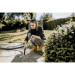 Karcher Пилосос Karcher WD 6 P S V-30/6/22/T (1.628-360.0)