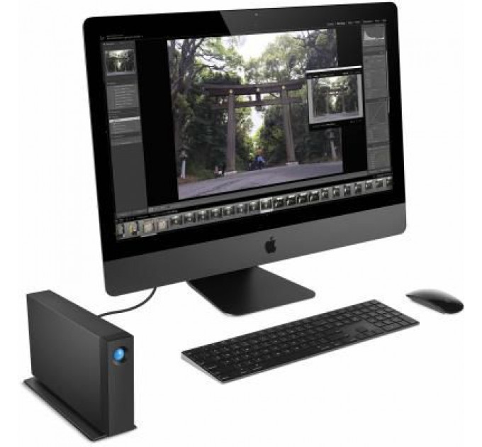 Зовнішній жорсткий диск 3.5" 10TB LaCie (STHA10000800)