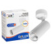 Delux Спот Delux TL02S 10 Вт 4000K (90015886)
