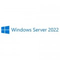 ПЗ для сервера Microsoft Windows Server 2022 External Connector Commercial Perpetual (DG7GMGF0D515_0001)