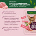 Delickcious Вологий корм для кішок Delickcious Суп з курки з шинкою та додаванням шпинату 80 г (4820269141599)
