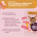 Delickcious Вологий корм для кішок Delickcious Суп з сардини з креветками та додаванням гарбуза 80 г (4820269141568)