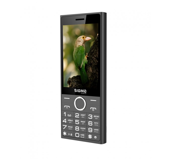 Sigma mobile Мобiльний телефон Sigma mobile X-Style 353 Trend Dual Sim Black (4827798626214)