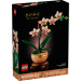 LEGO Конструктор LEGO Botanicals Міні орхідея (10343)