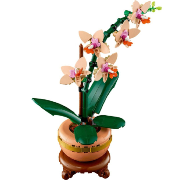 LEGO Конструктор LEGO Botanicals Міні орхідея (10343)