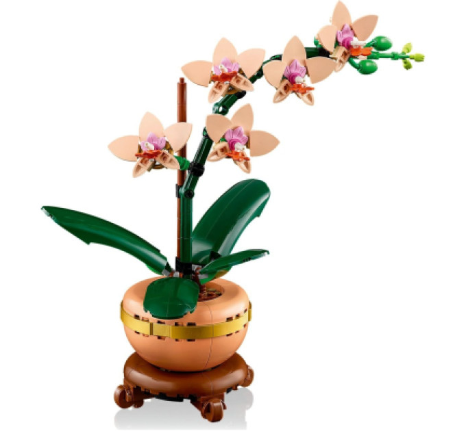 LEGO Конструктор LEGO Botanicals Міні орхідея (10343)