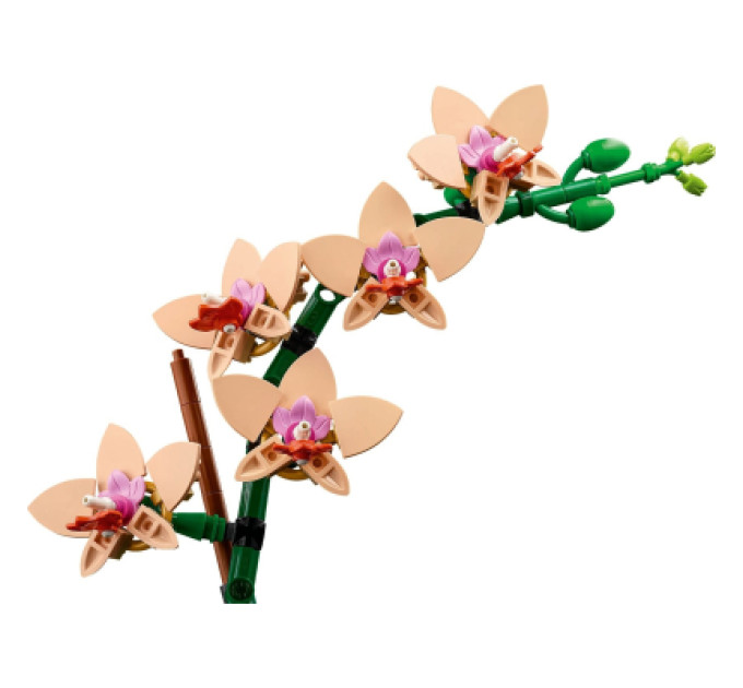 LEGO Конструктор LEGO Botanicals Міні орхідея (10343)