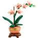 LEGO Конструктор LEGO Botanicals Міні орхідея (10343)