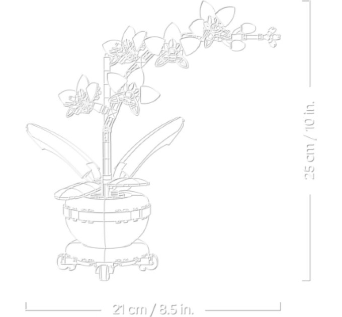 LEGO Конструктор LEGO Botanicals Міні орхідея (10343)
