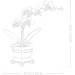 LEGO Конструктор LEGO Botanicals Міні орхідея (10343)