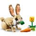 LEGO Конструктор LEGO Creator Чарівне кроленя (31162)